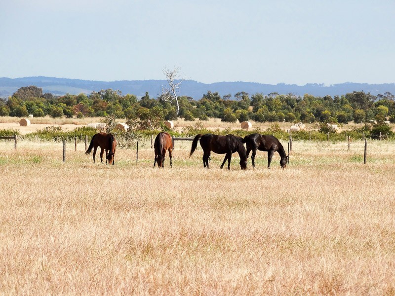 Lot 4 Echo Park Road, Milang SA 5256