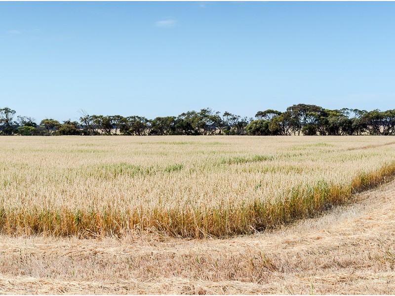 Lot 4 Echo Park Road, Milang SA 5256