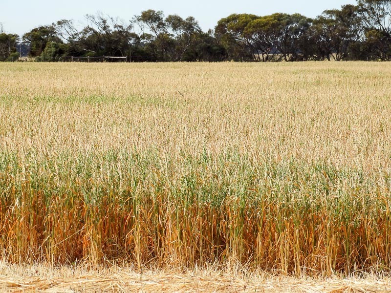 Lot 4 Echo Park Road, Milang SA 5256