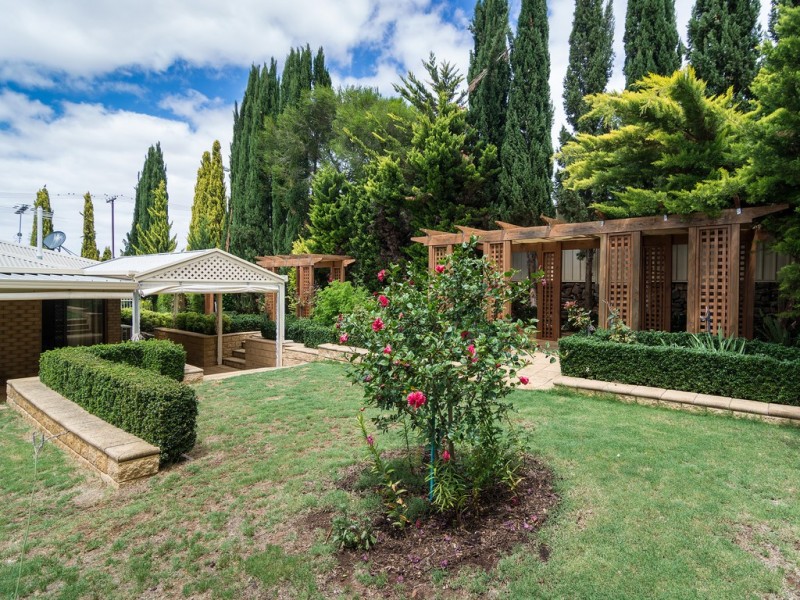 3 Wolf Avenue, Strathalbyn SA 5255