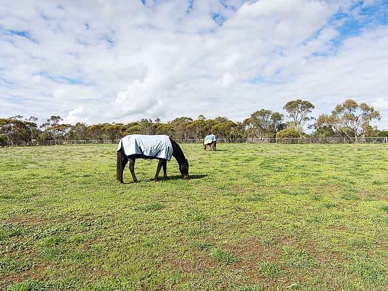 34 Meyers Road, Strathalbyn SA 5255