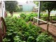 36 Parker Av, Strathalbyn SA 5255