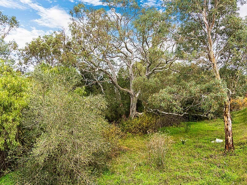 401 and 402 Abbotts Lane, Strathalbyn SA 5255