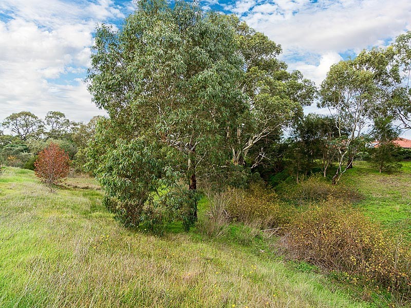 401 and 402 Abbotts Lane, Strathalbyn SA 5255
