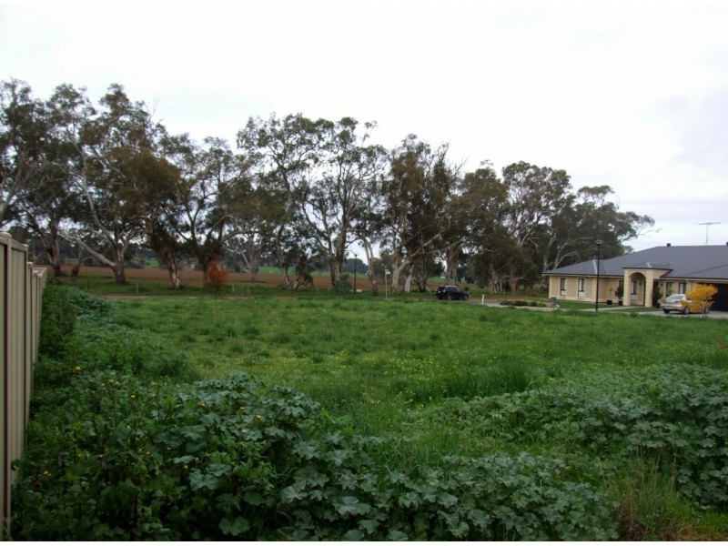 2 Haigh Court, Strathalbyn SA 5255