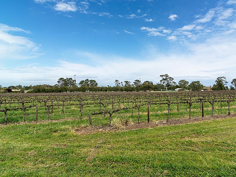22 Bridge Road, Langhorne Creek SA 5255