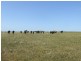 Lot 351 Skeldon Road, Langhorne Creek SA 5255