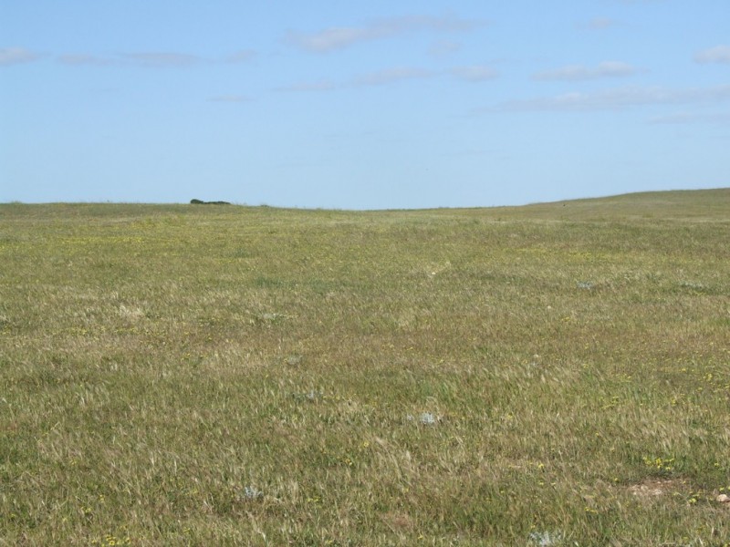 Lot 351 Skeldon Road, Langhorne Creek SA 5255