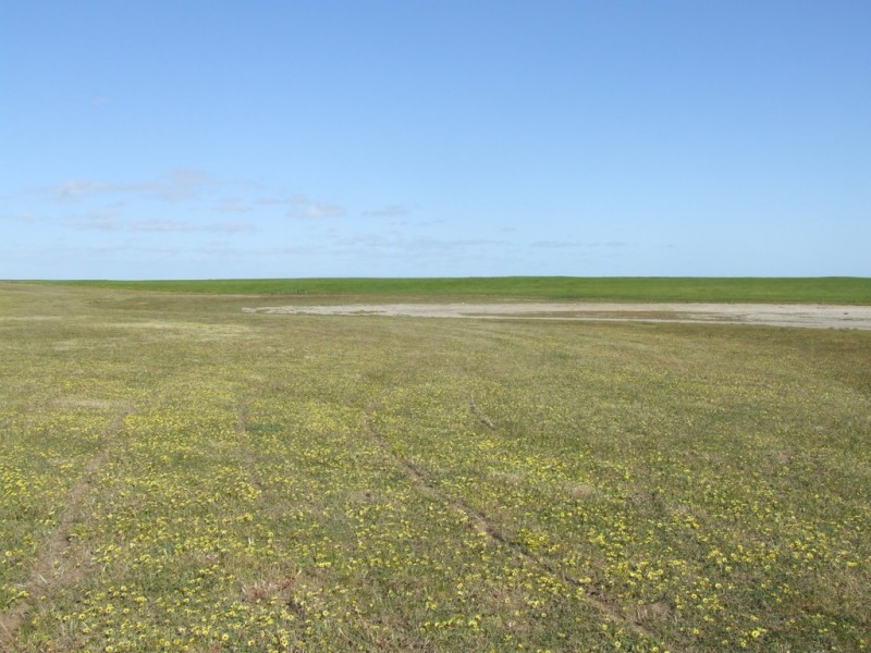 Lot 351 Skeldon Road, Langhorne Creek SA 5255