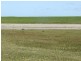 Lot 351 Skeldon Road, Langhorne Creek SA 5255