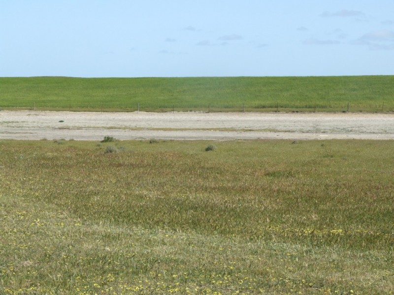Lot 351 Skeldon Road, Langhorne Creek SA 5255