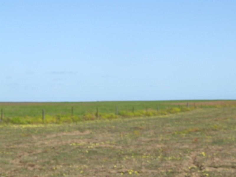 Lot 351 Skeldon Road, Langhorne Creek SA 5255