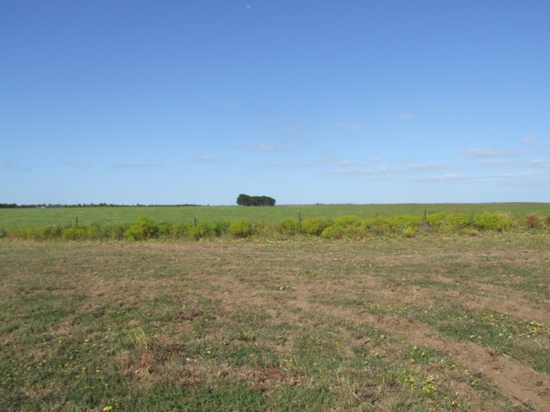 Lot 351 Skeldon Road, Langhorne Creek SA 5255