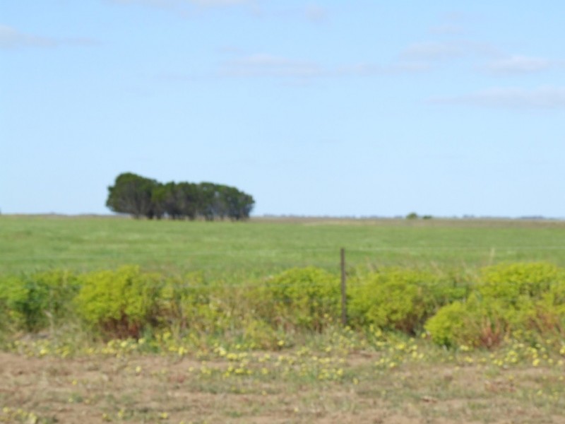 Lot 351 Skeldon Road, Langhorne Creek SA 5255