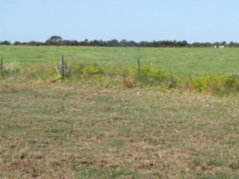 Lot 351 Skeldon Road, Langhorne Creek SA 5255