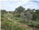 Lot 4 Hampden Way, Strathalbyn SA 5255