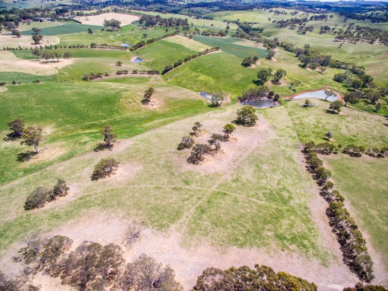 Lot 15 Ashbourne Road, Strathalbyn SA 5255