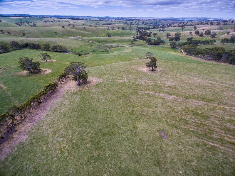 Lot 15 Ashbourne Road, Strathalbyn SA 5255