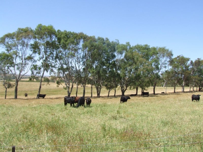 Lot 15 Ashbourne Road, Strathalbyn SA 5255
