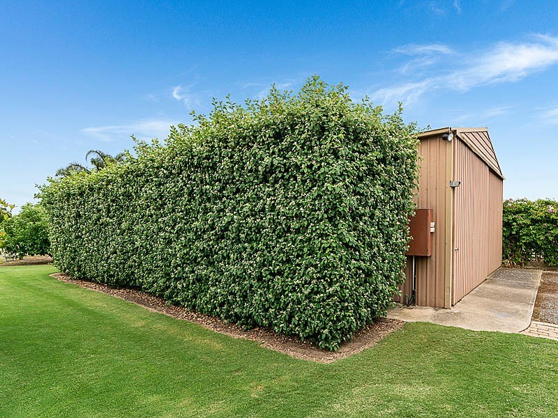 40 Marchant Road, Strathalbyn SA 5255