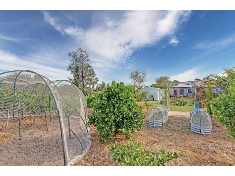 5 Stirling Street, Milang SA 5256