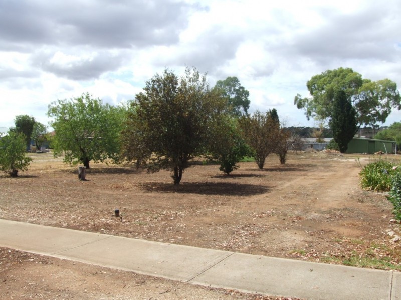 9 Hooper Road, Strathalbyn SA 5255