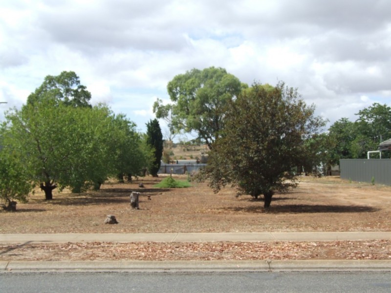 9 Hooper Road, Strathalbyn SA 5255