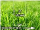 5c Edward Sreet, Strathalbyn SA 5255