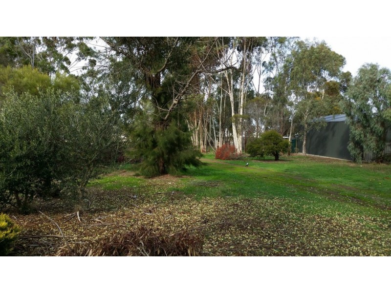 16 Avenue Road, Strathalbyn SA 5255