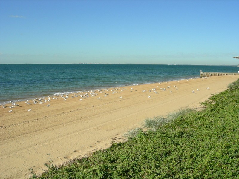 13A Robertson Avenue, Margate QLD 4019