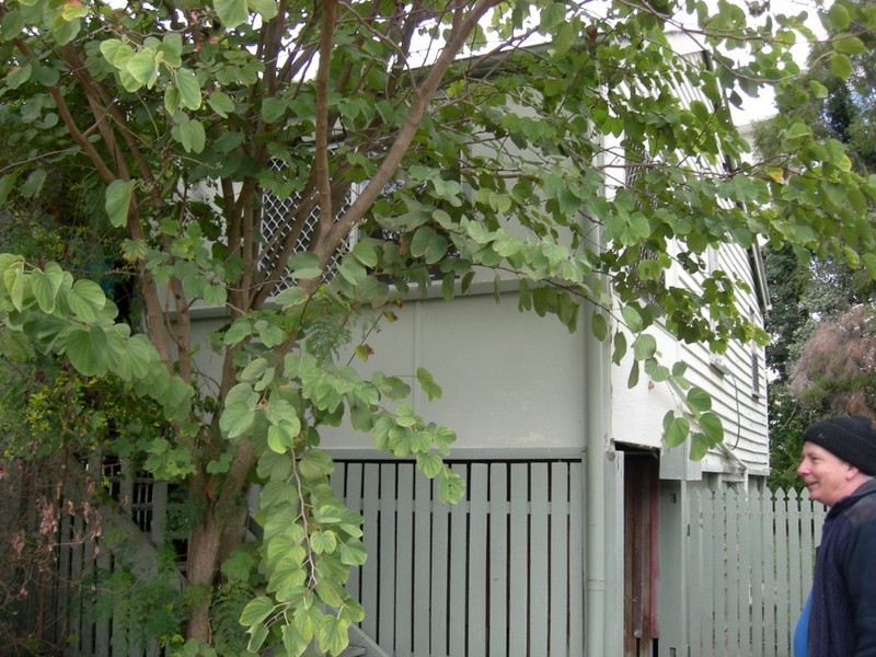 19 – 21 Louis Street, Redcliffe QLD 4020