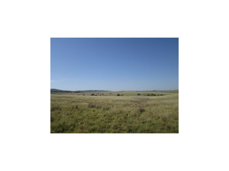 . Springdale Road, Stanthorpe QLD 4380