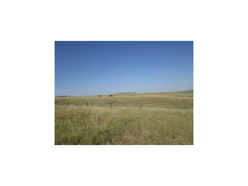 - Springdale Road, Stanthorpe QLD 4380