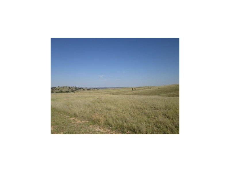 - Springdale Road, Stanthorpe QLD 4380