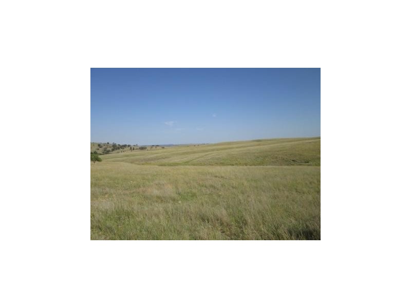 - Springdale Road, Stanthorpe QLD 4380