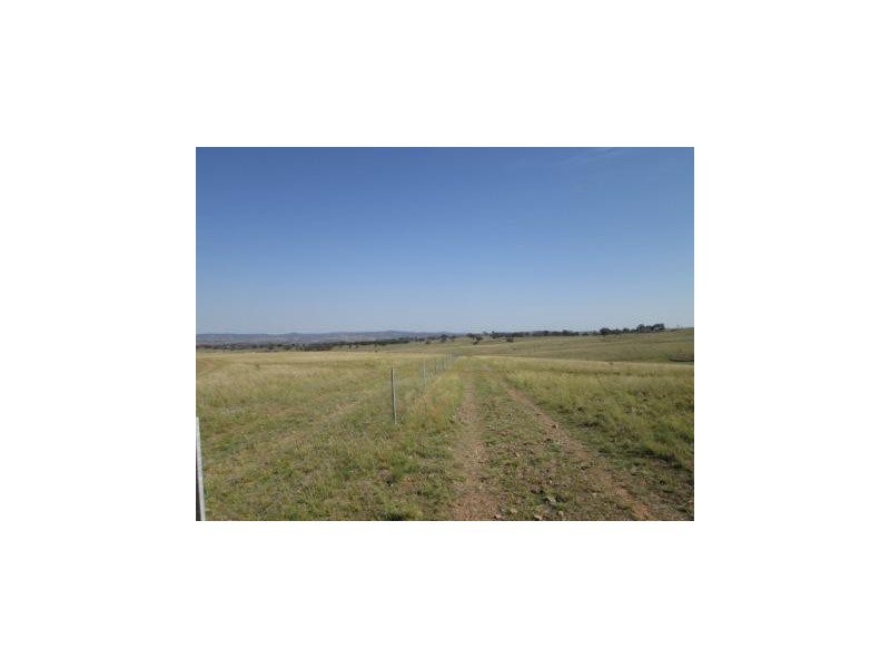 - Springdale Road, Stanthorpe QLD 4380