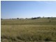 - Springdale Road, Stanthorpe QLD 4380