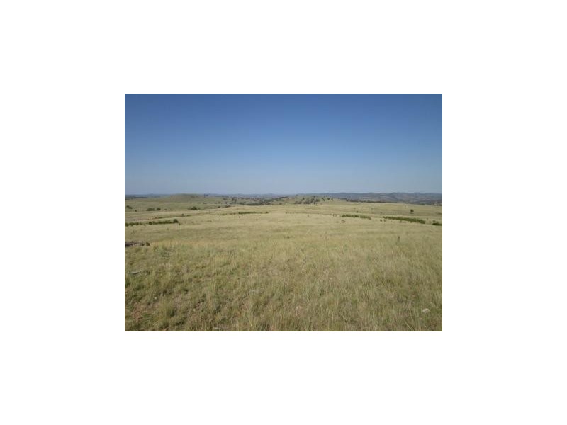 - Springdale Road, Stanthorpe QLD 4380