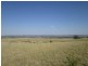 - Springdale Road, Stanthorpe QLD 4380