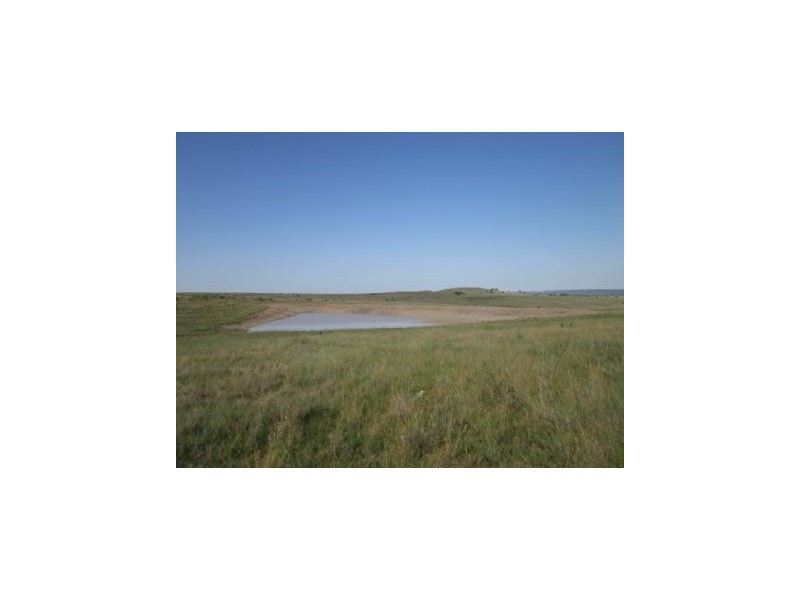 - Springdale Road, Stanthorpe QLD 4380