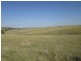 - Springdale Road, Stanthorpe QLD 4380