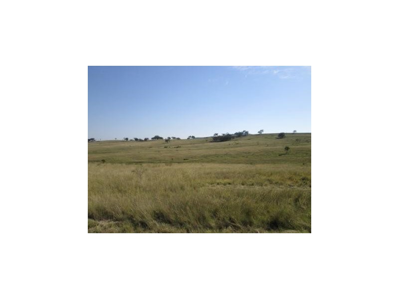 - Springdale Road, Stanthorpe QLD 4380