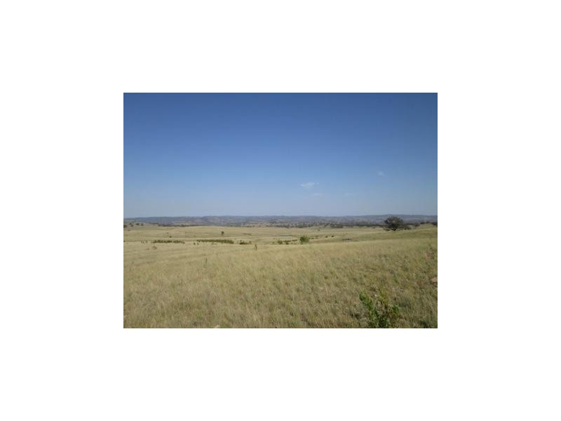 - Springdale Road, Stanthorpe QLD 4380