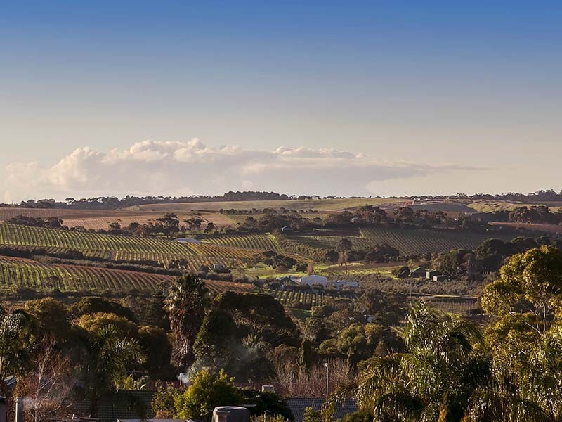 53 Valley View Drive, Mclaren Vale SA 5171