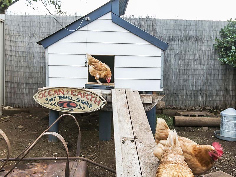 35 Cambridge Street, Port Noarlunga South SA 5167