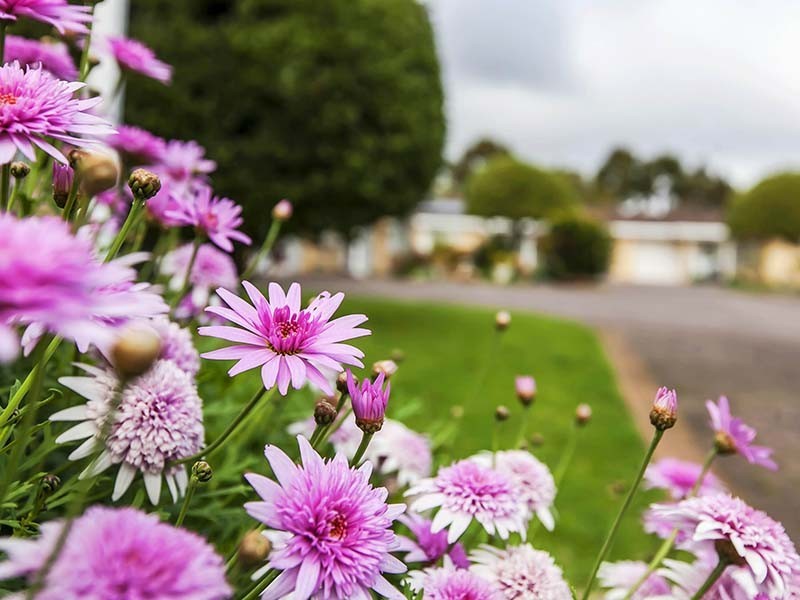 4/35 Dunrobin Road, Hove SA 5048