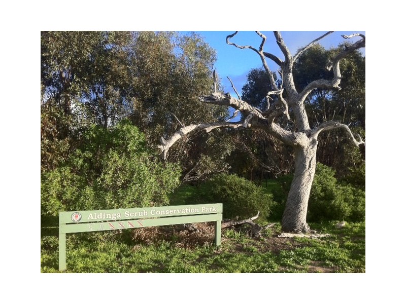 6 (lot 965) Polkinghorn Court, Aldinga Beach SA 5173