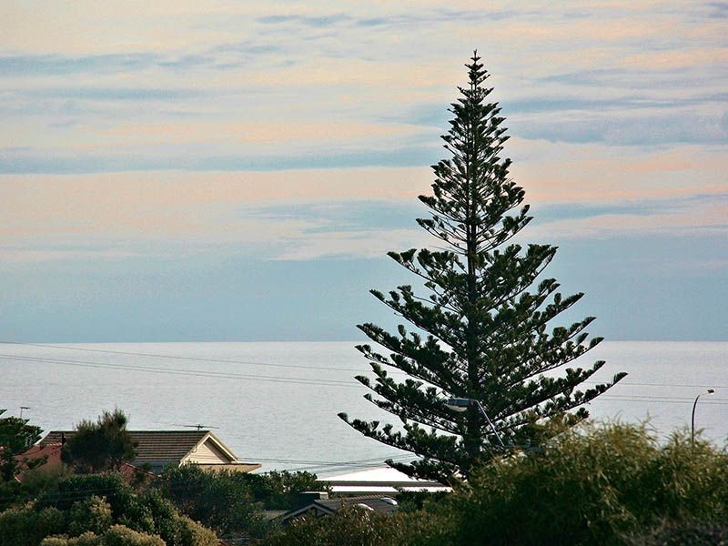 7 Torquay Street, Christies Beach SA 5165