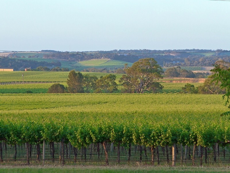 146 Binney Road, Willunga SA 5172