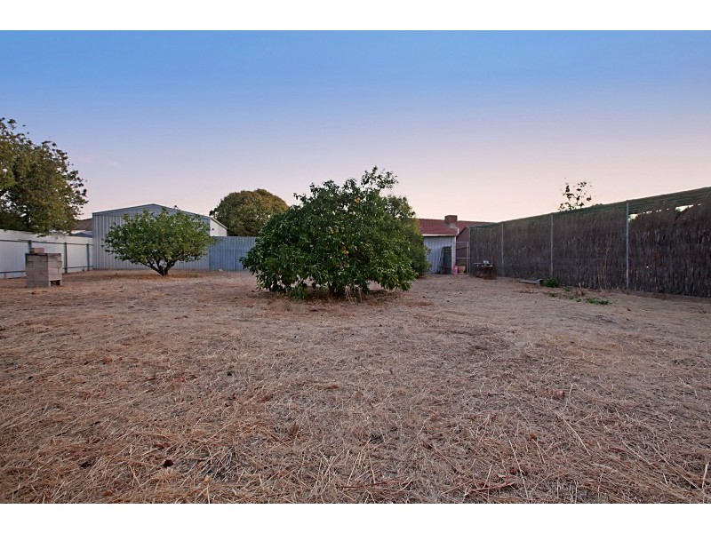 20 Ferry Avenue, Plympton Park SA 5038
